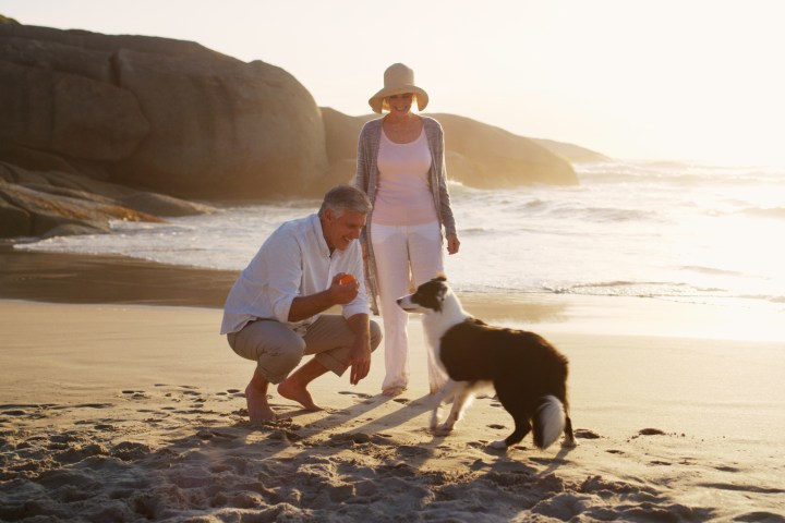 Couple on beach with dog, man kneeling, woman standing, at sunset.
