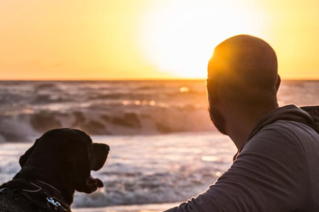 Person and dog watching sunset by the ocean.