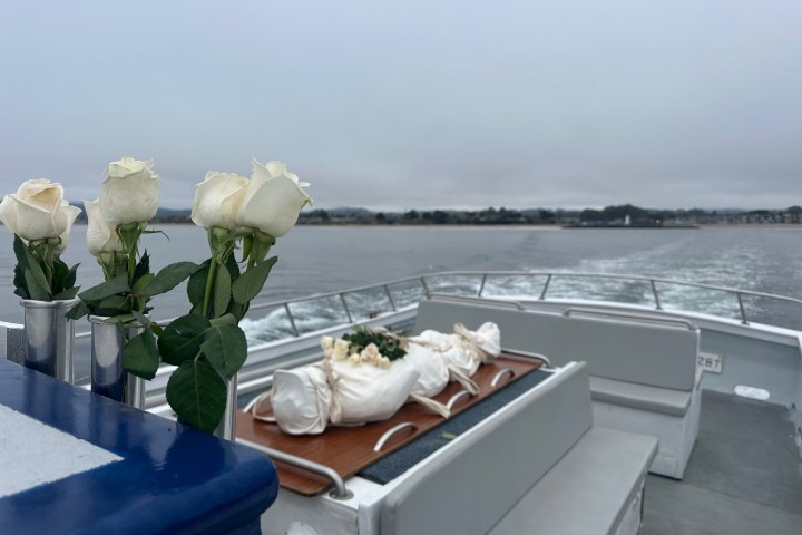 Full body white roses