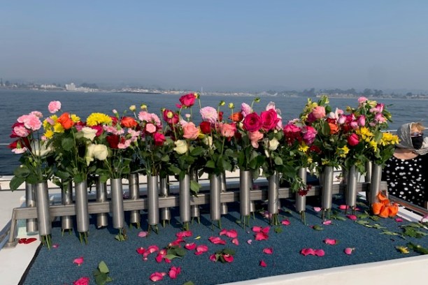 a group of pink flowers
