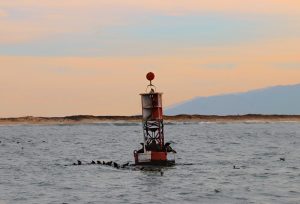 a man in a boat on a body of water