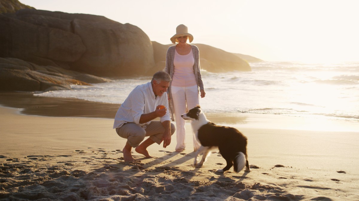 Older couple playing with a dog on a sunny beach, with rocks and waves in the background.