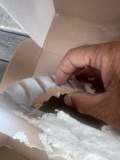 Biodegradable clam urn after being opened for ash scattering