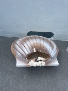 Biodegradable clam urn after being opened for ash scattering