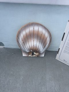 Biodegradable clam urn for burial at sea
