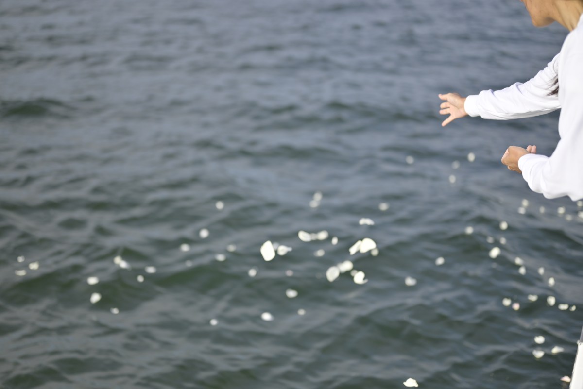 Person scattering white petals over a body of water.